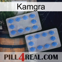 Kamgra 20